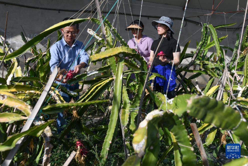 牛牛游戏欢乐斗